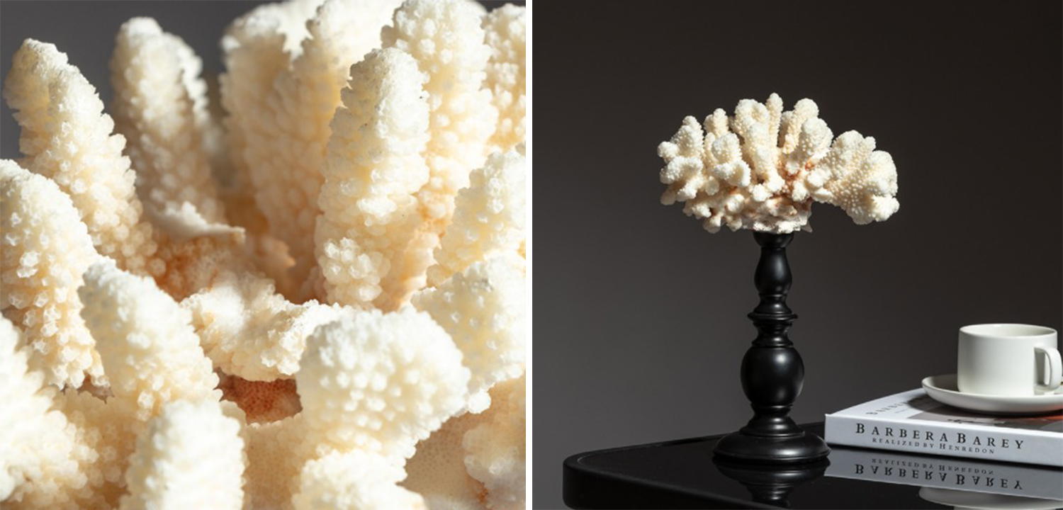 Статуэтка White Coral Decor - фото