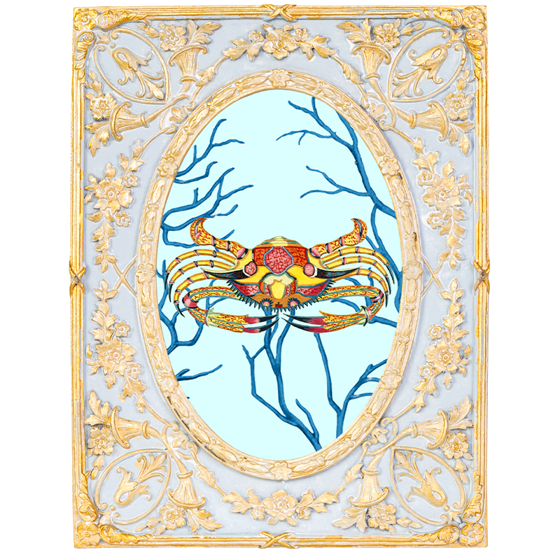 Картина в раме с золотым орнаментом Seashell Still Life 2 Мульти Золотой Голубой Картина в раме с золотым орнаментом Seashell Still Life 2 Мульти Золотой Голубой в Твери | Loft Concept