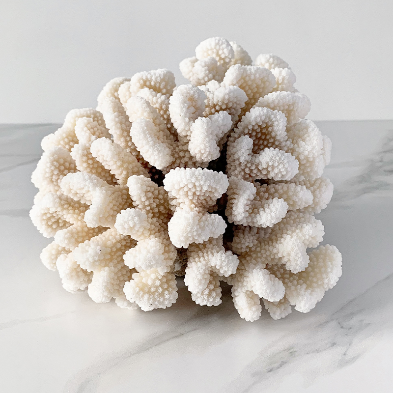 Статуэтка Brownstem Coral Статуэтка Brownstem Coral в Твери | Loft Concept