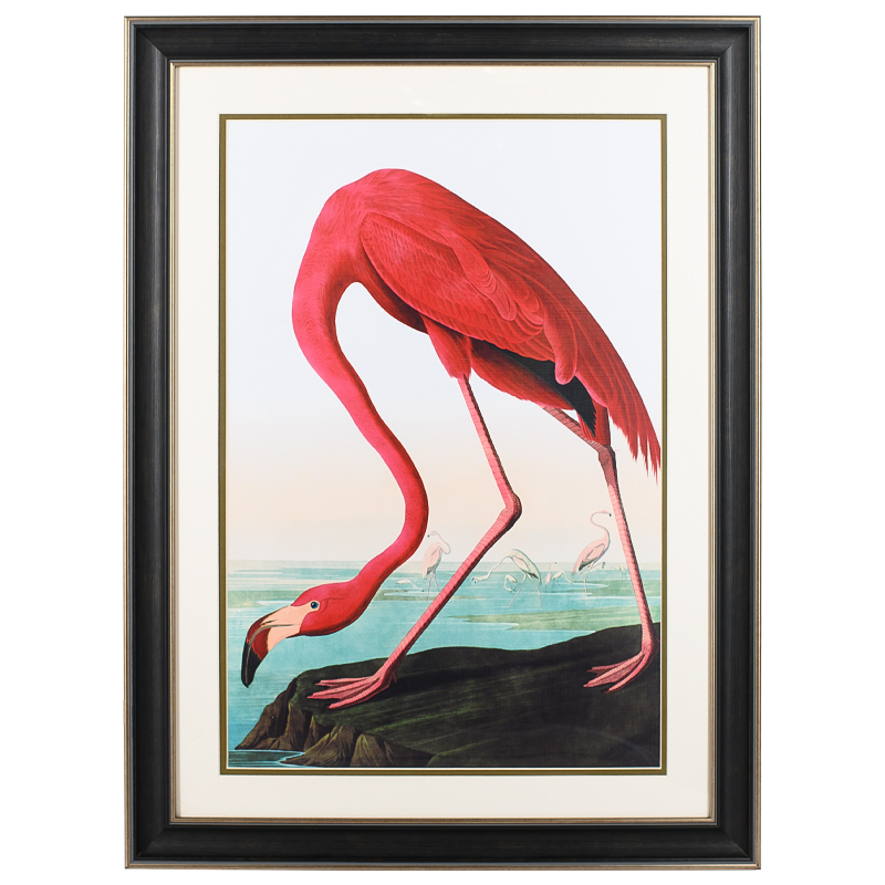 Постер Red Flamingo Мульти Постер Red Flamingo Мульти в Твери | Loft Concept