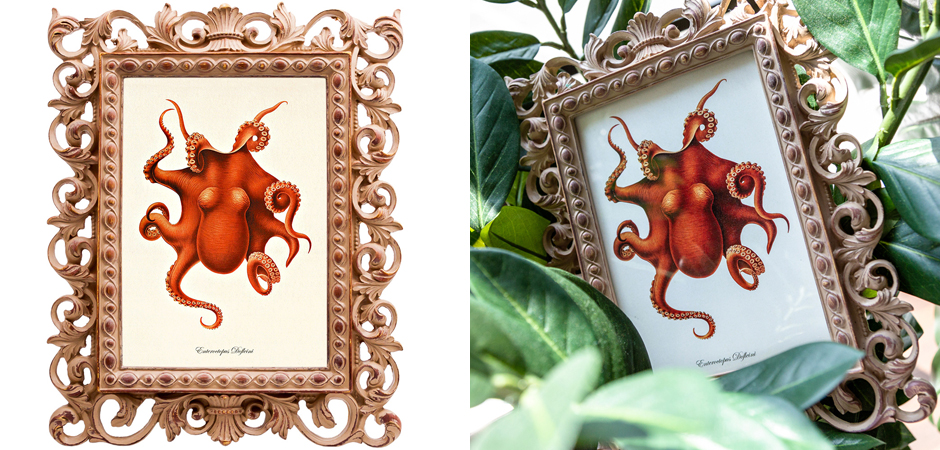 Постер Red Octopus Poster Постер Red Octopus Poster - Loft-Concept в Твери