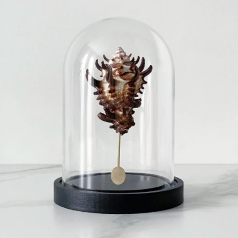 Статуэтка Vasum Tubiferum Glass Cloche Статуэтка Vasum Tubiferum Glass Cloche в Твери | Loft Concept
