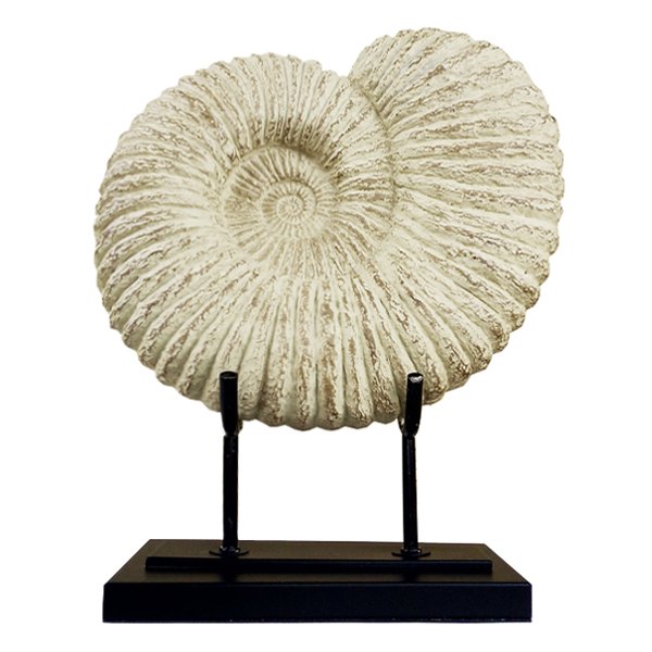 Аксессуар Аммонит Fossil Shell Аксессуар Аммонит Fossil Shell в Твери | Loft Concept