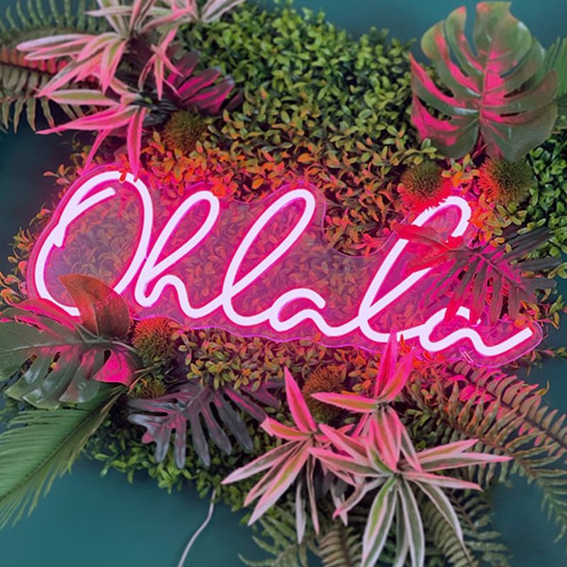 Неоновая настенная лампа Oh La La Neon Wall Lamp Розовый Розовый Прозрачный Неоновая настенная лампа Oh La La Neon Wall Lamp Розовый Розовый Прозрачный в Твери | Loft Concept