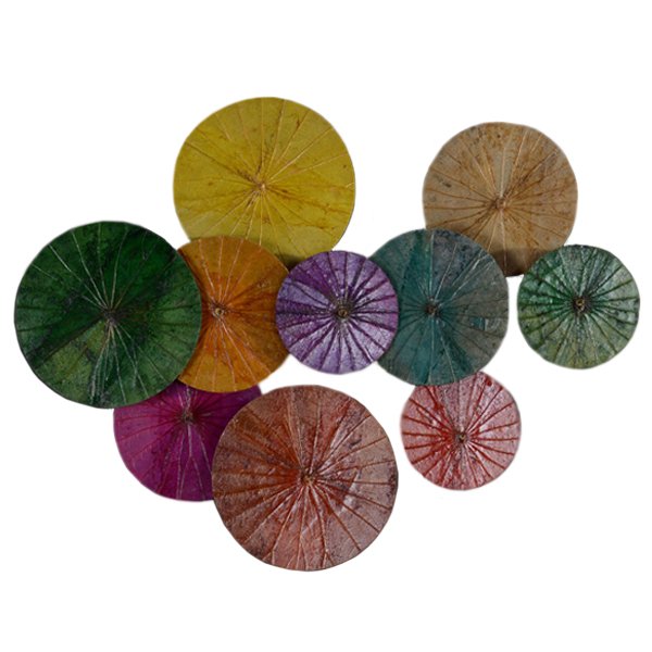 Арт-объект Disc wall art Lotus leaves Мульти Арт-объект Disc wall art Lotus leaves Мульти в Твери | Loft Concept