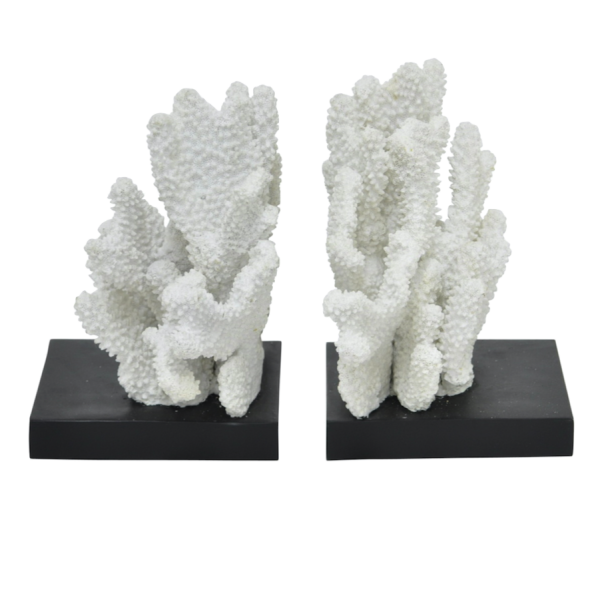 Держатели для книг White Coral Белый Держатели для книг White Coral Белый в Твери | Loft Concept