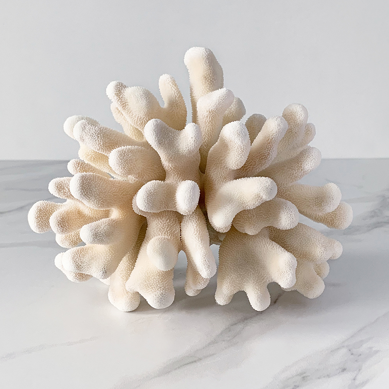 Статуэтка Elkhorn Coral Статуэтка Elkhorn Coral в Твери | Loft Concept
