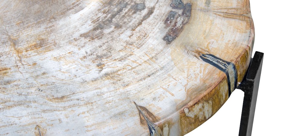 PETRIFIED WOOD COFFEETABLE M Окаменелое дерево PETRIFIED WOOD COFFEETABLE M Окаменелое дерево - Loft-Concept в Твери
