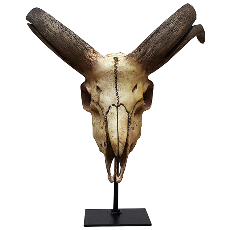 Аксессуар Goat Skull Бежевый Коричневый Черный Аксессуар Goat Skull Бежевый Коричневый Черный в Твери | Loft Concept
