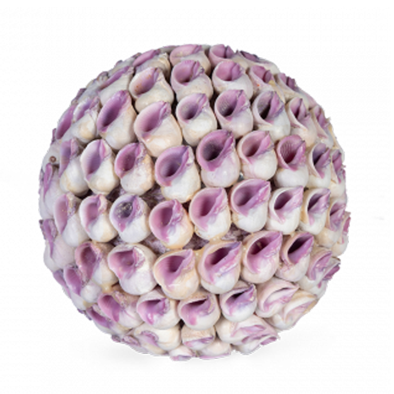 Статуэтка Coral Decor ball Коричневый Статуэтка Coral Decor ball Коричневый в Твери | Loft Concept