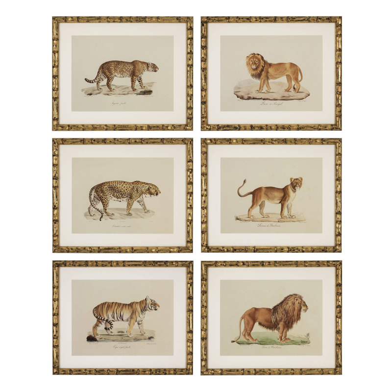Комплект постеров Eichholtz Prints Lion Tigre Jaguar set of 6 Золотой Бежевый Мульти Комплект постеров Eichholtz Prints Lion Tigre Jaguar set of 6 Золотой Бежевый Мульти в Твери | Loft Concept