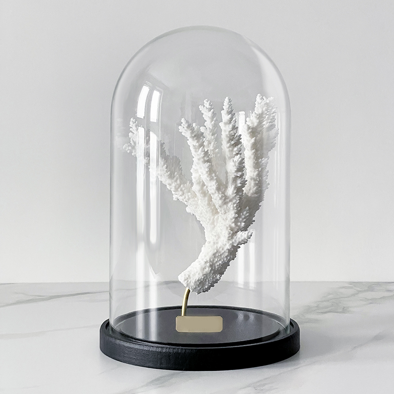 Статуэтка Natural Coral Branch Glass Cloche Статуэтка Natural Coral Branch Glass Cloche в Твери | Loft Concept