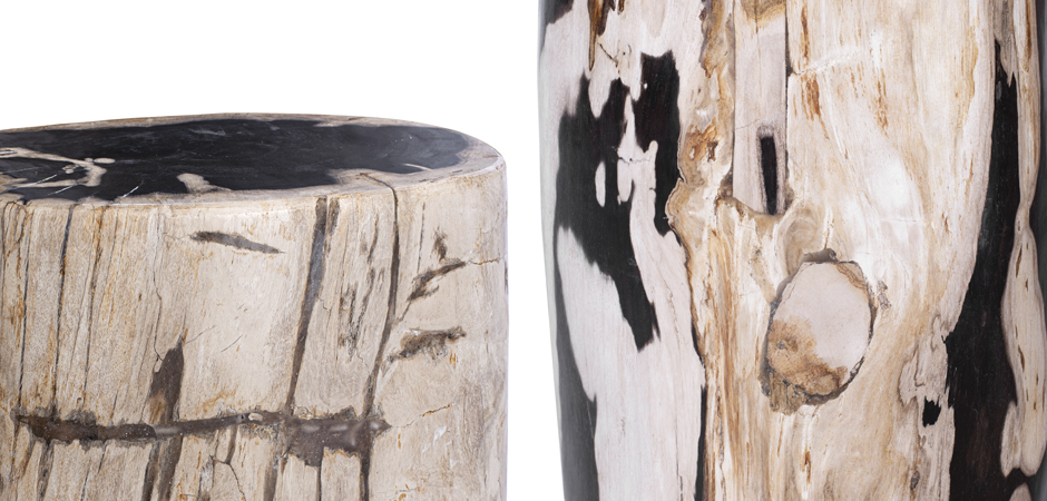 Пенек из окаменелого дерева black and white - Loft-Concept в Твери