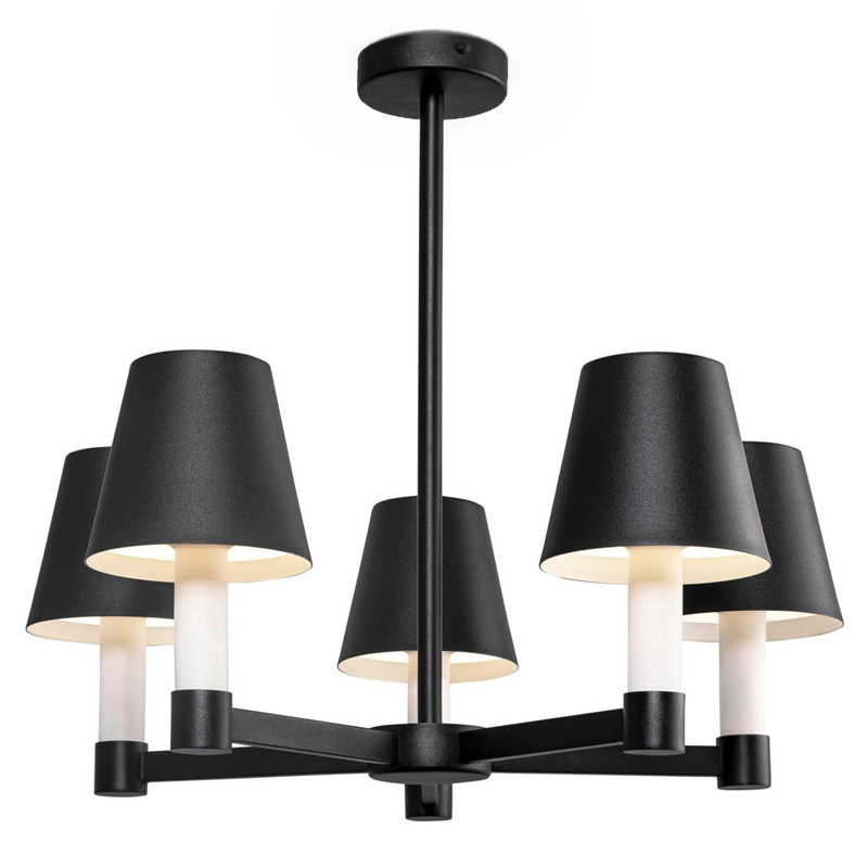 Люстра Eremon Chandelier 5 Черный Люстра Eremon Chandelier 5 Черный в Твери | Loft Concept