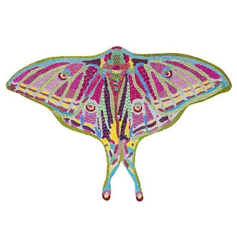 Картина “Spanish Moon Moth Butterfly Cut Out” Мульти Картина “Spanish Moon Moth Butterfly Cut Out” Мульти в Твери | Loft Concept