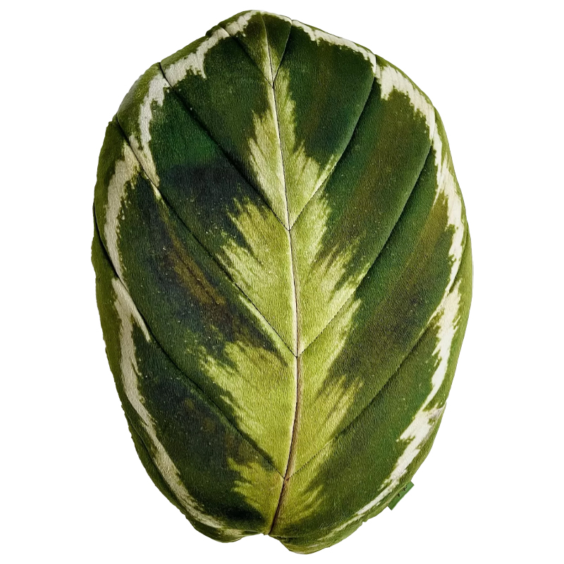 Декоративная подушка Botanical Cushion Calathea Medallion Зеленый Декоративная подушка Botanical Cushion Calathea Medallion Зеленый в Твери | Loft Concept