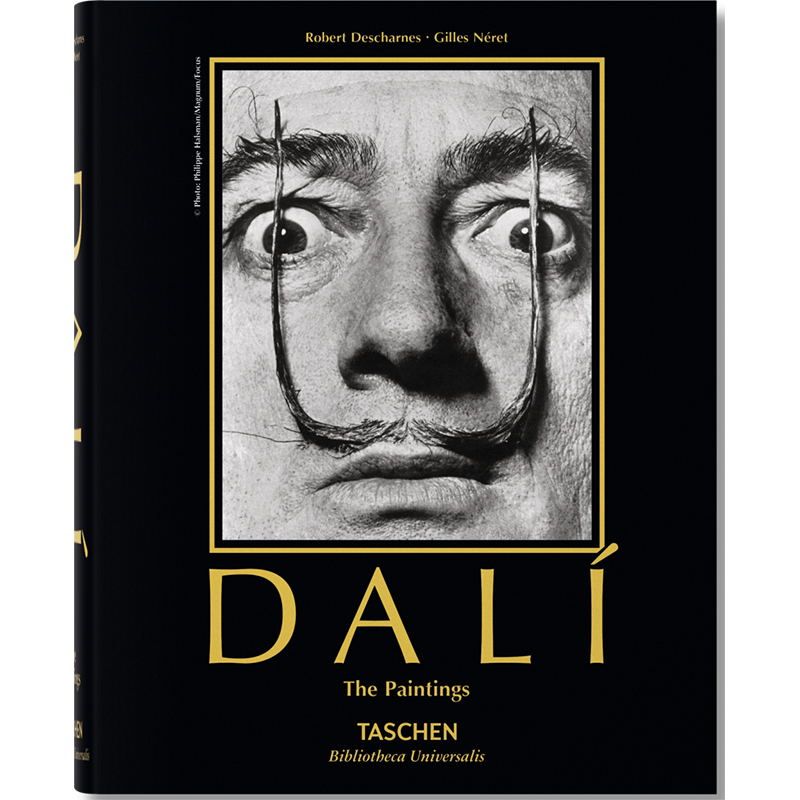 Salvador Dali. Paintings Salvador Dali. Paintings в Твери | Loft Concept