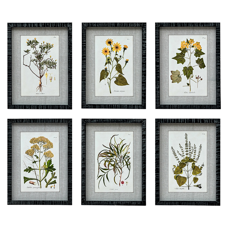 Набор постеров Herbarium Yellow Flowers Мульти Набор постеров Herbarium Yellow Flowers Мульти в Твери | Loft Concept