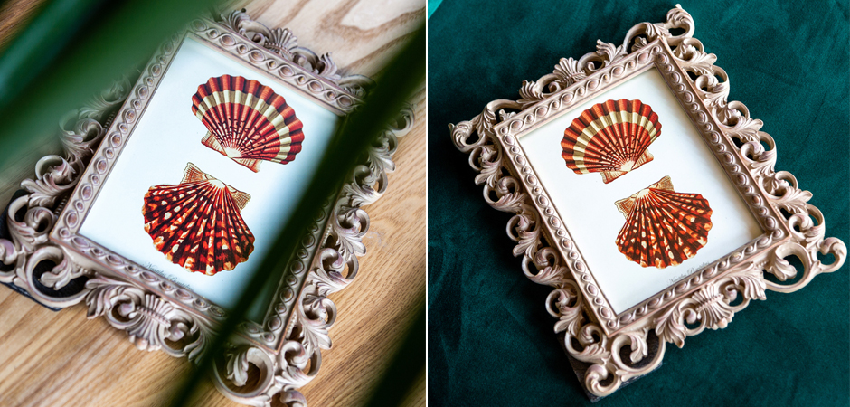 Постер Red Scallop Poster - Loft-Concept в Твери