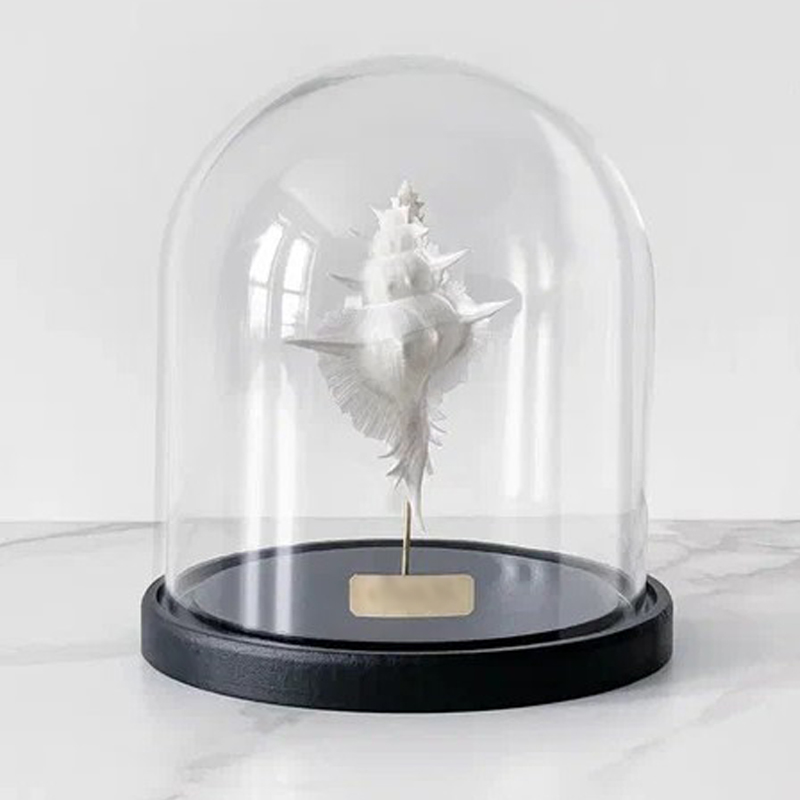 Статуэтка Murex Alabaster Glass Cloche Статуэтка Murex Alabaster Glass Cloche в Твери | Loft Concept