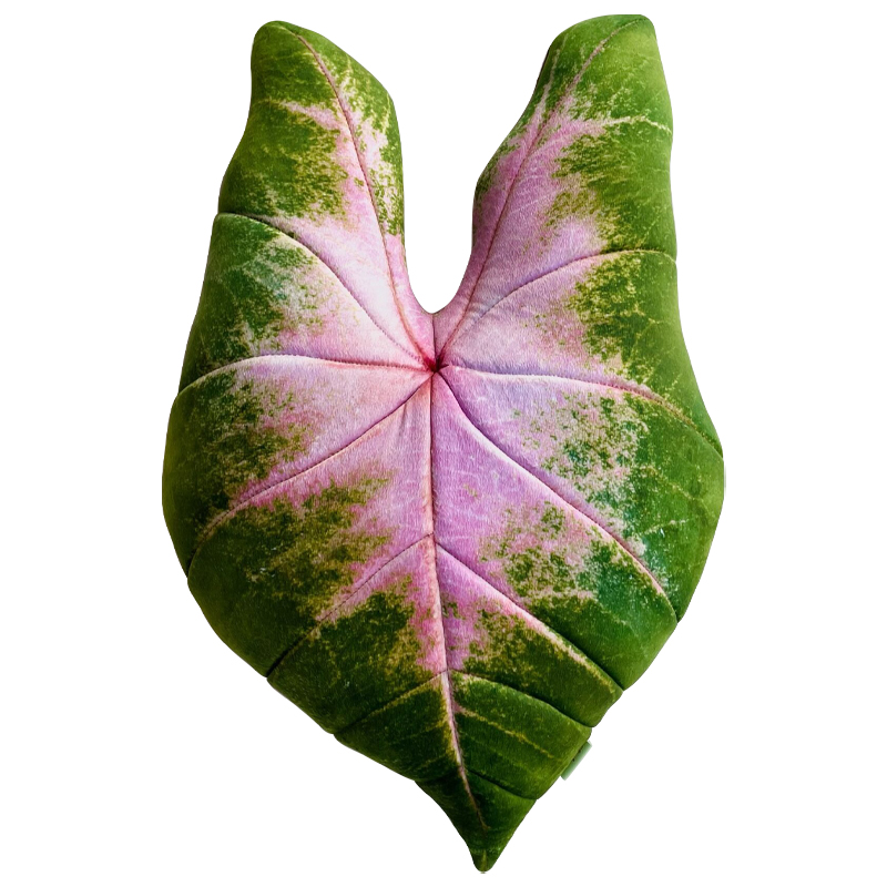Декоративная подушка Botanical Cushion Caladium Bicolor Зеленый Розовый Декоративная подушка Botanical Cushion Caladium Bicolor Зеленый Розовый в Твери | Loft Concept