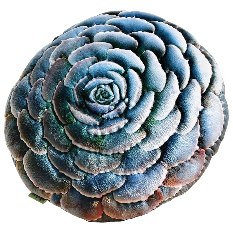 Декоративная подушка Botanical Cushion Succulentus Зеленый Зеленый шалфей Бирюзовый Декоративная подушка Botanical Cushion Succulentus Зеленый Зеленый шалфей Бирюзовый в Твери | Loft Concept