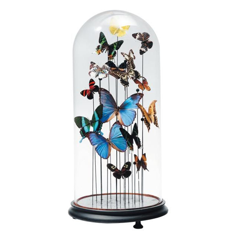 Статуэтка 15 Butterflies Glass Cloche Статуэтка 15 Butterflies Glass Cloche в Твери | Loft Concept