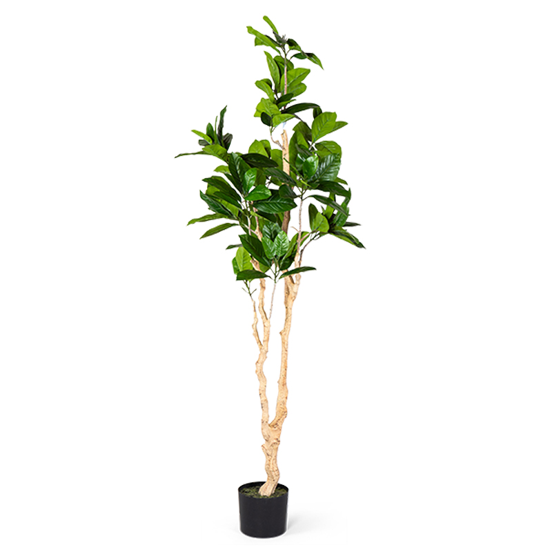 Декоративный искусственный цветок Decorative Tree h187 Зеленый Декоративный искусственный цветок Decorative Tree h187 Зеленый в Твери | Loft Concept