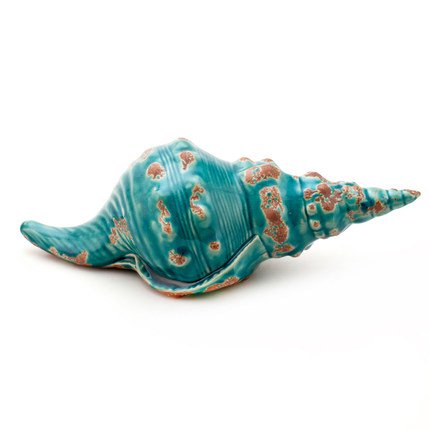 Ракушка Shell Turquoise #1 Бирюзовый Ракушка Shell Turquoise #1 Бирюзовый в Твери | Loft Concept