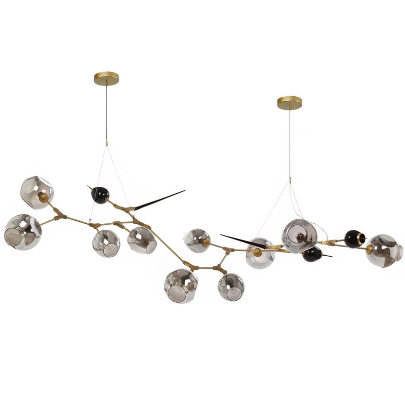 Люстра Chandelier bubbles and thorns Золотой Прозрачное Стекло Прозрачный черный Люстра Chandelier bubbles and thorns Золотой Прозрачное Стекло Прозрачный черный в Твери | Loft Concept