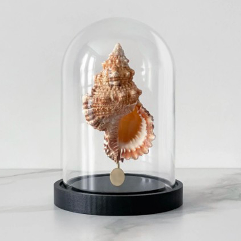 Статуэтка Bursa Rubeta Glass Cloche Статуэтка Bursa Rubeta Glass Cloche в Твери | Loft Concept