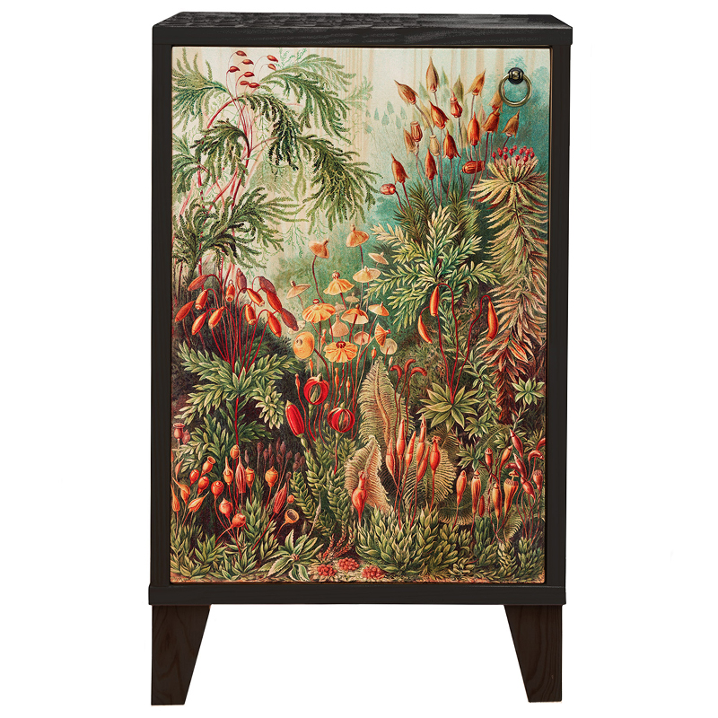 Тумба с цветочным изображением Floral Print Nighstand Черный Мульти Тумба с цветочным изображением Floral Print Nighstand Черный Мульти в Твери | Loft Concept