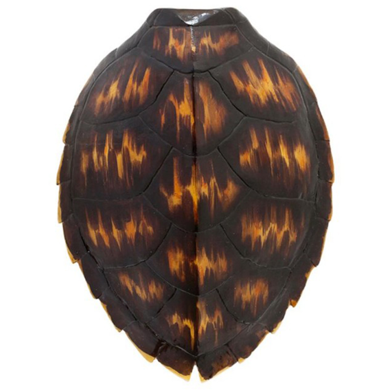 Аксессуар Turtle Shell Brown Orange Коричневый Оранжевый Аксессуар Turtle Shell Brown Orange Коричневый Оранжевый в Твери | Loft Concept