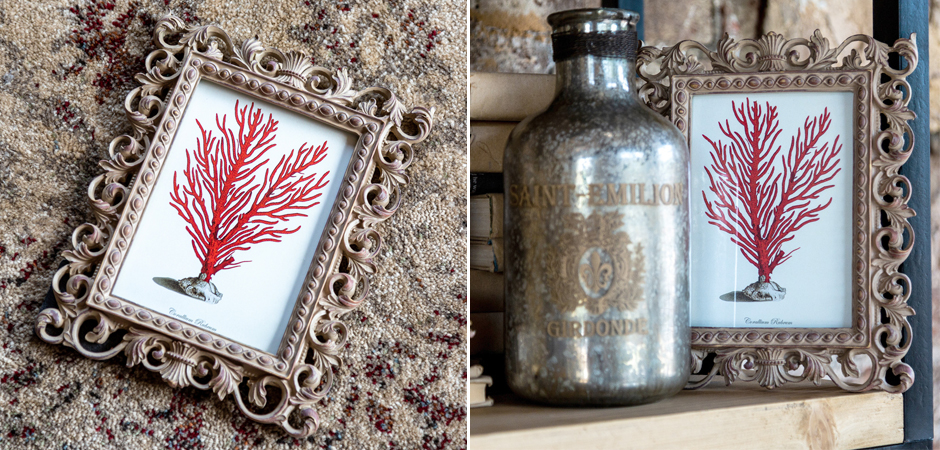 Постер Red Coral Poster 1 - Loft-Concept в Твери