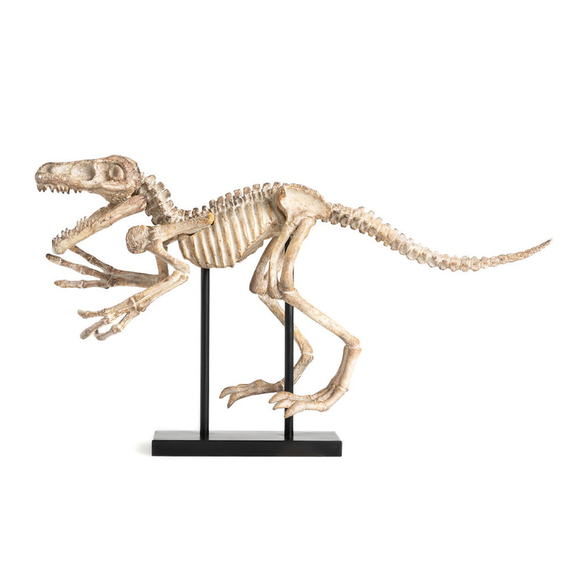 Статуэтка Dinosaur Skeleton big Бежево-серый Статуэтка Dinosaur Skeleton big Бежево-серый в Твери | Loft Concept