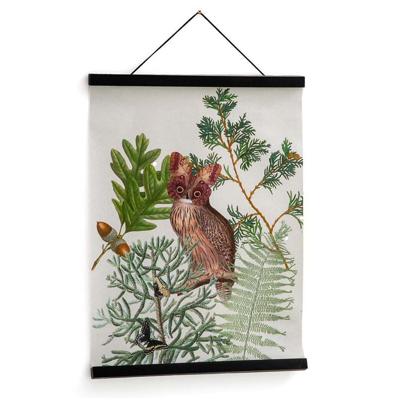 Постер Poster of Plants & Birds сова Мульти Постер Poster of Plants & Birds сова Мульти в Твери | Loft Concept