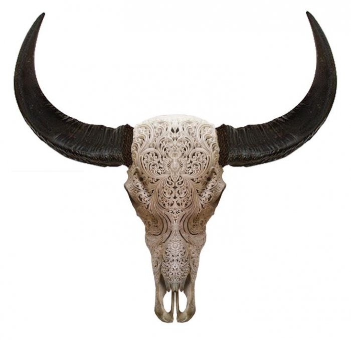 Череп буйвола с резьбой Buffalo Skull Tribal Carving Белый Череп буйвола с резьбой Buffalo Skull Tribal Carving Белый в Твери | Loft Concept