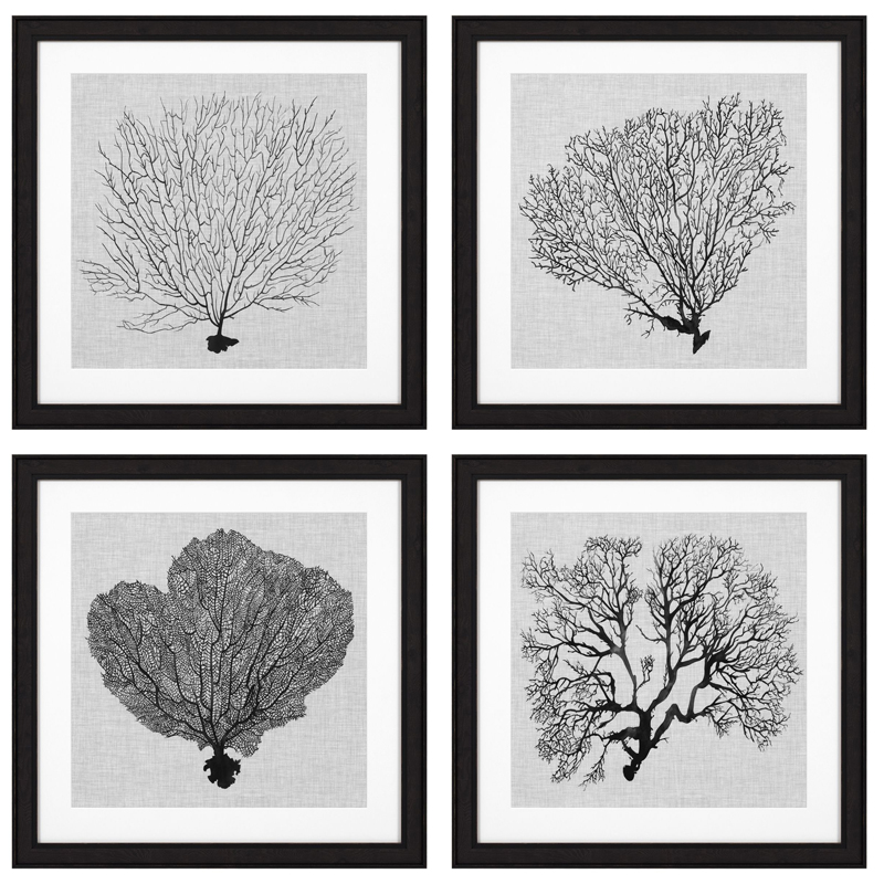 Комплект постеров Eichholtz Prints Shadow Sea Fans set of 4 Черный Черно-белый Комплект постеров Eichholtz Prints Shadow Sea Fans set of 4 Черный Черно-белый в Твери | Loft Concept