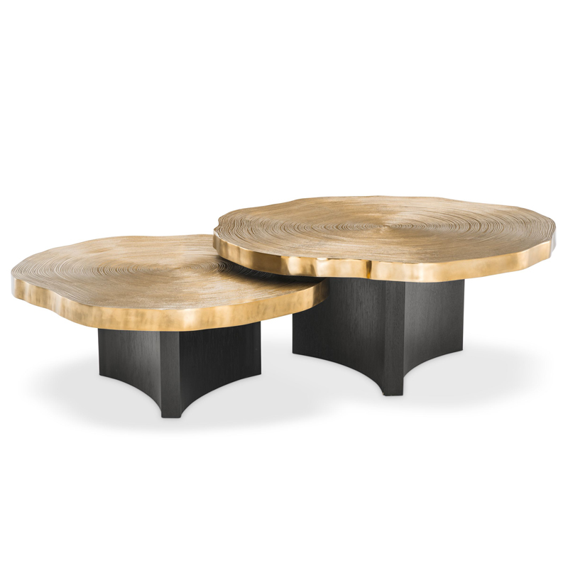 Комплект кофейных столов Eichholtz Coffee Table Thousand Oaks set of 2 Черный Латунь Комплект кофейных столов Eichholtz Coffee Table Thousand Oaks set of 2 Черный Латунь в Твери | Loft Concept