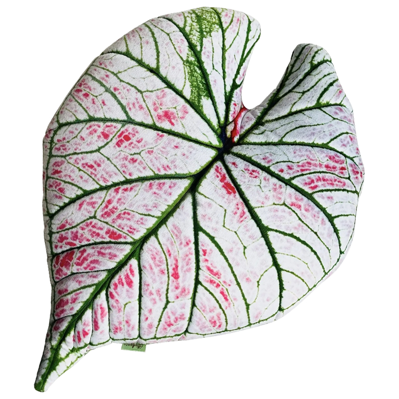Декоративная подушка Botanical Cushion Caladium Rosebud Зеленый Бежевый Розовый Декоративная подушка Botanical Cushion Caladium Rosebud Зеленый Бежевый Розовый в Твери | Loft Concept