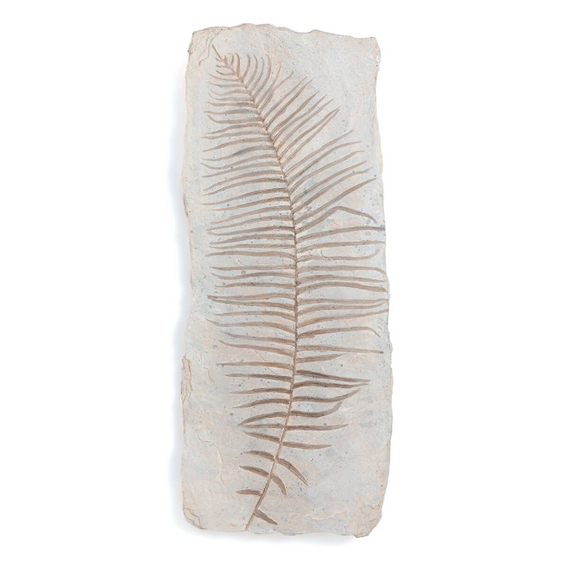 Аксессуар на стену Tropical Leaf Бежево-серый Аксессуар на стену Tropical Leaf Бежево-серый в Твери | Loft Concept