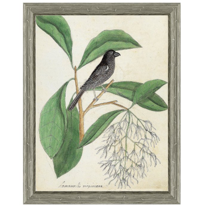 Постер Black Bird & White Flowers Постер Black Bird & White Flowers в Твери | Loft Concept