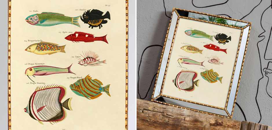 Постер в зеркальной раме Fish Guide 4 - Loft-Concept в Твери