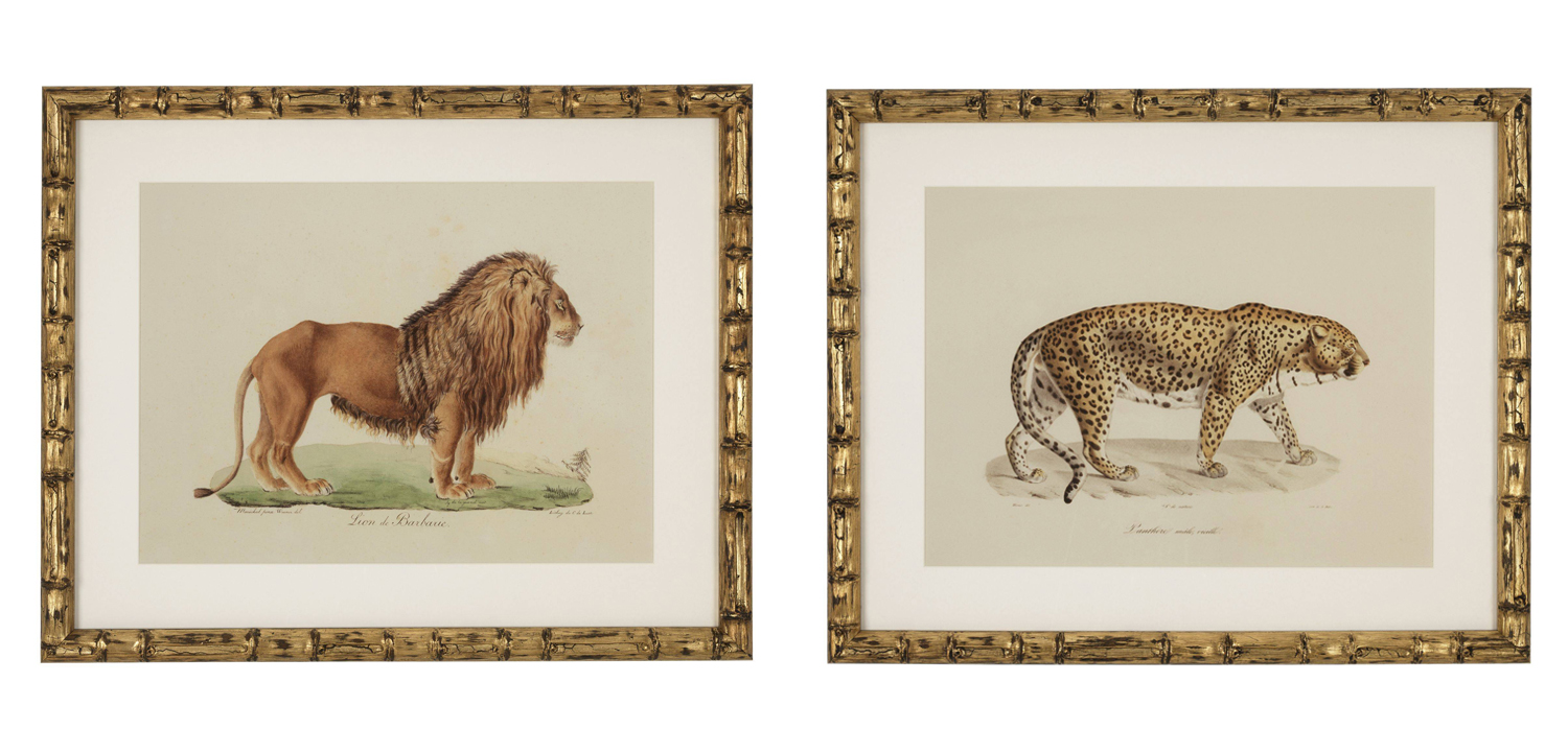 Комплект постеров Eichholtz Prints Lion Tigre Jaguar set of 6 - фото №1