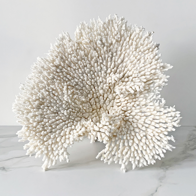 Статуэтка Table Coral Статуэтка Table Coral в Твери | Loft Concept