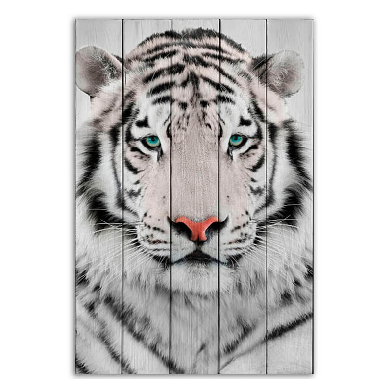 Постер White Tiger Постер White Tiger в Твери | Loft Concept