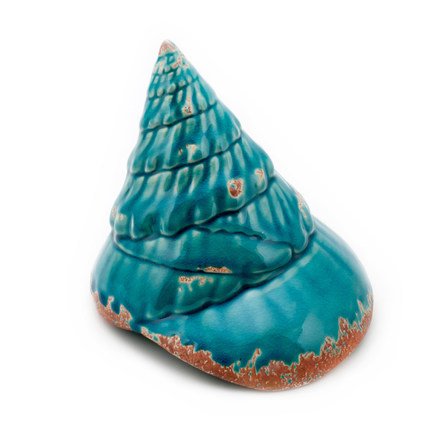 Ракушка Shell Turquoise #2 Бирюзовый Ракушка Shell Turquoise #2 Бирюзовый в Твери | Loft Concept