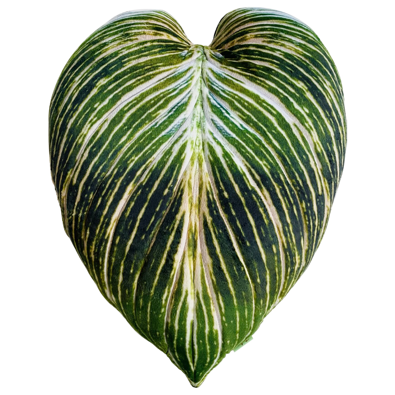 Декоративная подушка Botanical Cushion Philodendron Birkin Зеленый Салатовый Белый Декоративная подушка Botanical Cushion Philodendron Birkin Зеленый Салатовый Белый в Твери | Loft Concept