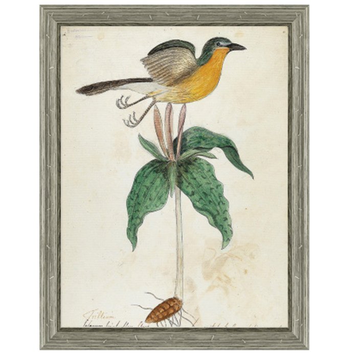 Постер Bird On Flower Постер Bird On Flower в Твери | Loft Concept
