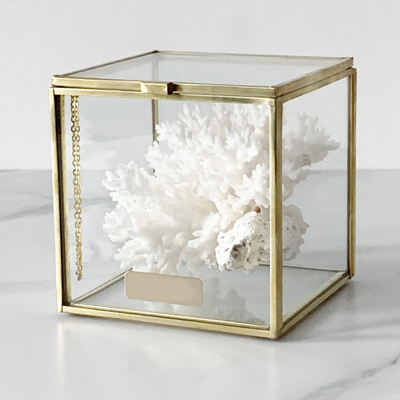 Статуэтка Natural Coral Glass Box S Статуэтка Natural Coral Glass Box S в Твери | Loft Concept